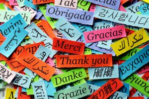 Compte rendu de la Commission académique des langues vivantes étrangères (CALVÉ)