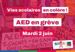 Mobilisation des AED le mardi 2 juin STOP précarité !
