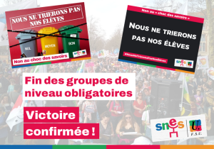 Groupes de niveaux facultatifs : une victoire confirmée !