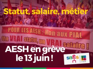 AESH et AED En grève le 13 juin !