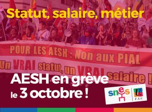 AESH : Sous le vernis Encore et toujours de la précarité En grève le 3 octobre !